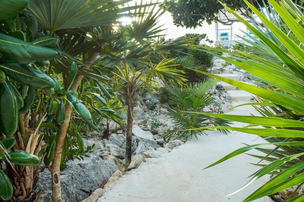 Modern Cottage With Chalk Sound Views Providenciales Zewnętrze zdjęcie